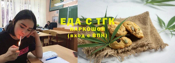 шишки Елизово