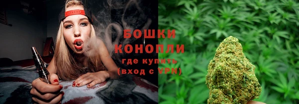 шишки Елизово
