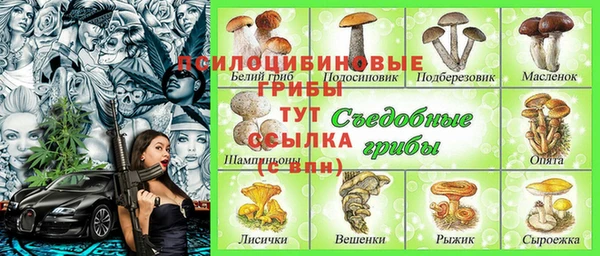 MDMA Ельня