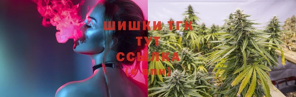 шишки Елизово