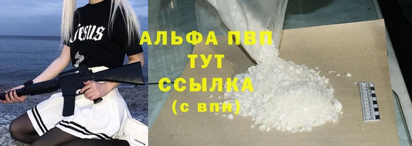 шишки Елизово