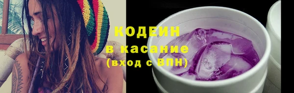 прущие грибы Заволжск