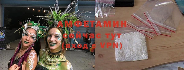 прущие грибы Заволжск