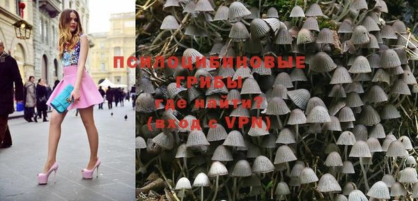 прущие грибы Заволжск