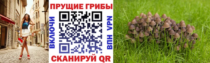 что такое наркотик  OMG рабочий сайт  нарко площадка формула  Керчь  Галлюциногенные грибы Magic Shrooms 